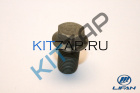 ���� �������������