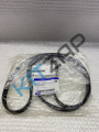 ������ ���������