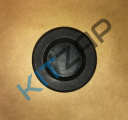 �������� (������) ��������� ���� � ������ 